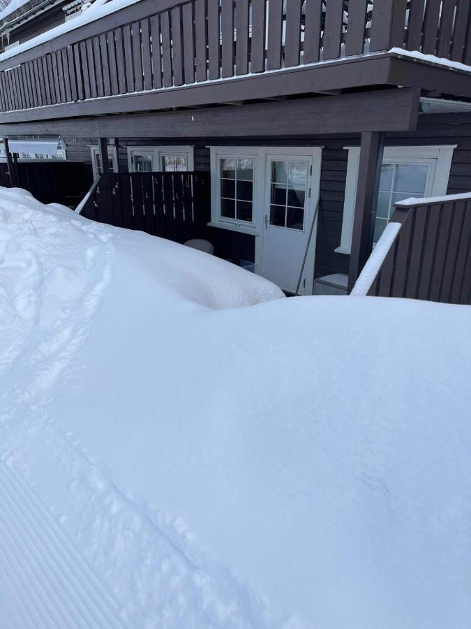 Leilighet Pa Gautefall Appartement Drangedal Buitenkant foto